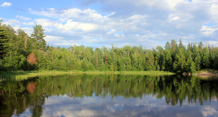 A lake reflects a blue sky with some clouds and the green trees surrounding the water.