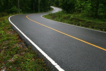 Close up of a paved road winding through a wooded area