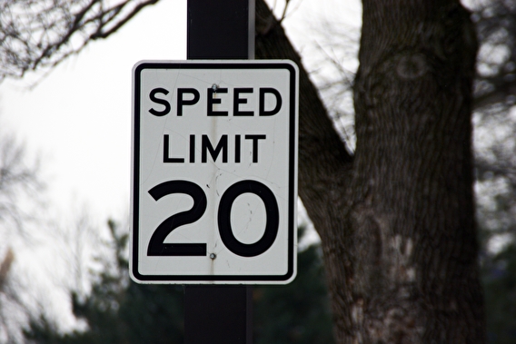 A 20mph speed limit sign with trees in the background