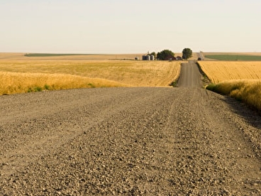 Gravel road with farmland on both sides