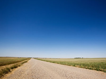 Gravel road running through a rural area with fields on each side