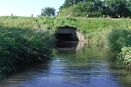 culvert filled with water