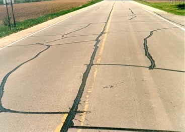 An asphalt road has several patched cracks on its surface.